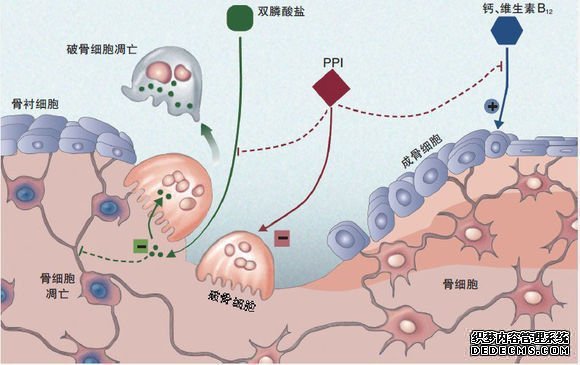 使PPIs利用范论文毕业围不绝扩大